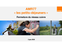 AMR77 – Fermeture cuivre – 77 v1